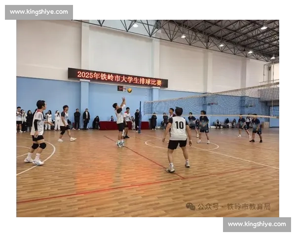 青春力量在赛场绽放全国排球比赛点燃团队荣耀梦想与拼搏精神同行 - 副本 (2)